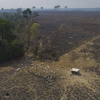 Brazilian rancher fined $50 million for illegal deforestation in landmark climate case to protect Amazon.