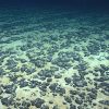 Discovery of Dark Oxygen Production in Deep Ocean Challenges Traditional Beliefs and Raises Concerns for Deep-Sea Mining