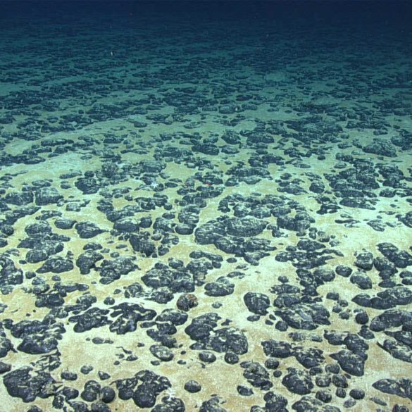 Discovery of Dark Oxygen Production in Deep Ocean Challenges Traditional Beliefs and Raises Concerns for Deep-Sea Mining