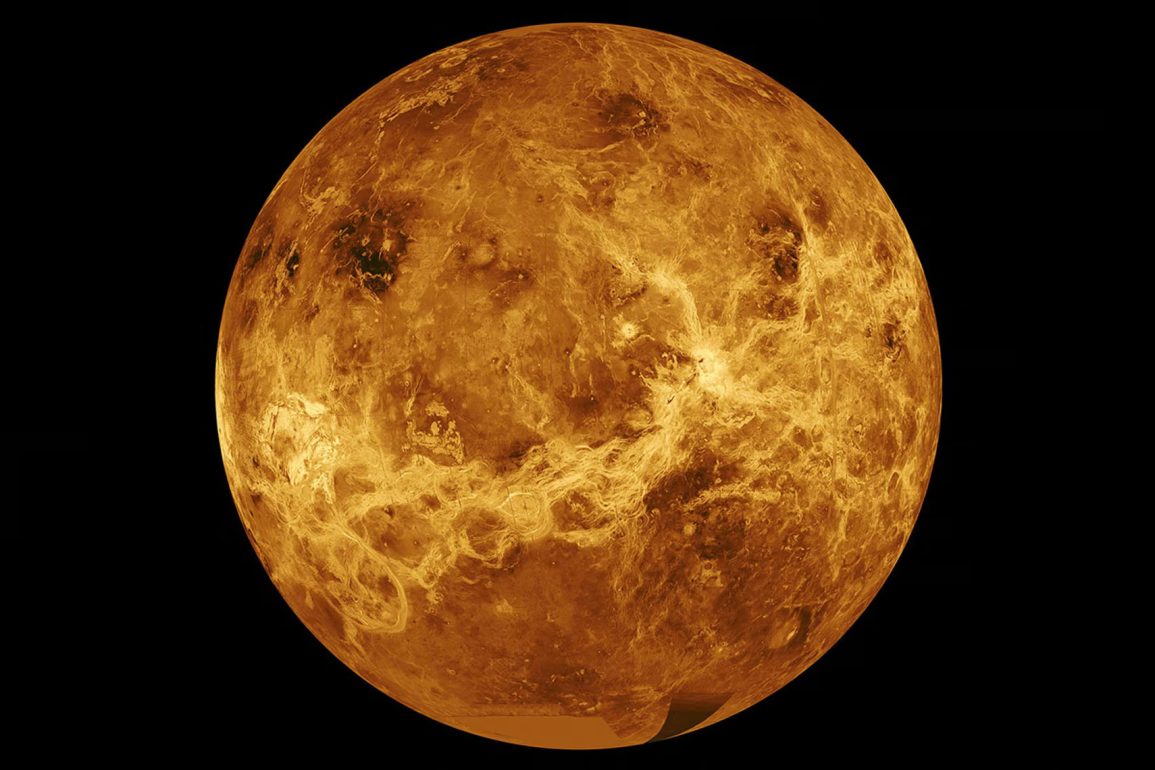 Discovery of Phosphine and Ammonia in Venus' Atmosphere Raises Intriguing Possibilities for Life