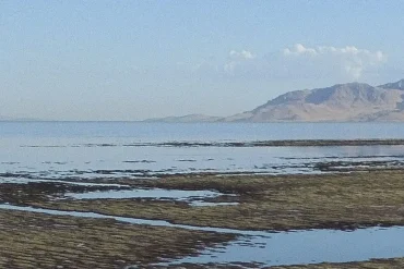 Drying Great Salt Lake Emits Significant Greenhouse Gases, Impacting Climate and Local Environment