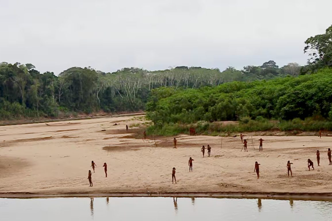 Emergence of Mashco Piro Tribe Raises Safety Concerns Amid Logging Activities in Peruvian Amazon