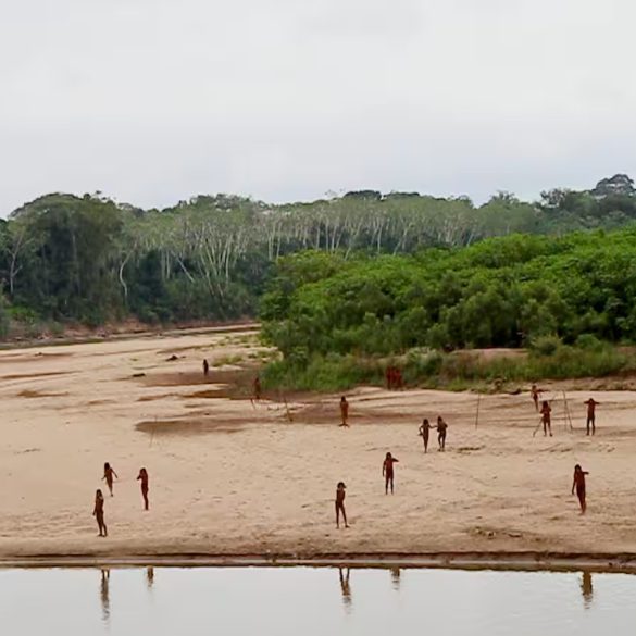 Emergence of Mashco Piro Tribe Raises Safety Concerns Amid Logging Activities in Peruvian Amazon