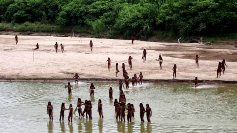 Emergence of Mashco Piro Tribe Raises Safety Concerns Amid Logging Activities in Peruvian Amazon