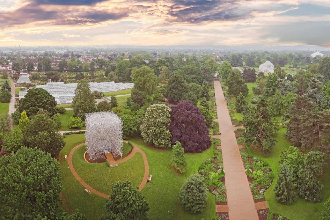 Kew Gardens Faces Climate Risk as Over Half of Its Trees May be at Risk by Century's End