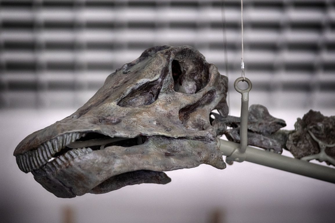 LA Museum Reveals Gnatalie, the Only Known Green-Boned Dinosaur