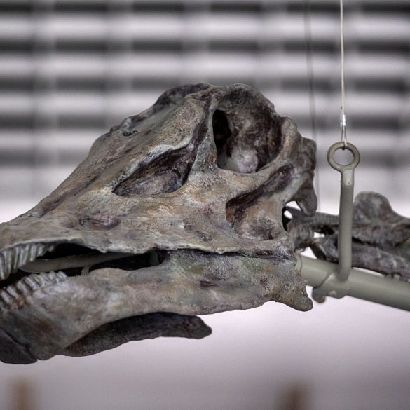 LA Museum Reveals Gnatalie, the Only Known Green-Boned Dinosaur