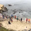 La Jolla Cove Advocates Push for Balance in Sea Lion Protection and Beach Access