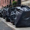 NYC's New Wheelie Bins Ignite Excitement in Waste Management Revolution