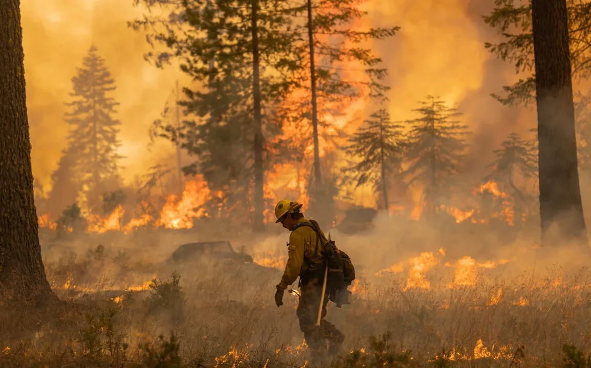 Wildfire Smoke Poses Greater Dementia Risk Than Other Air Pollution, Study Finds