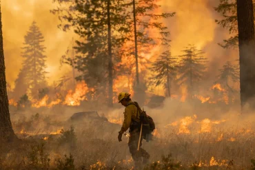 Wildfire Smoke Poses Greater Dementia Risk Than Other Air Pollution, Study Finds