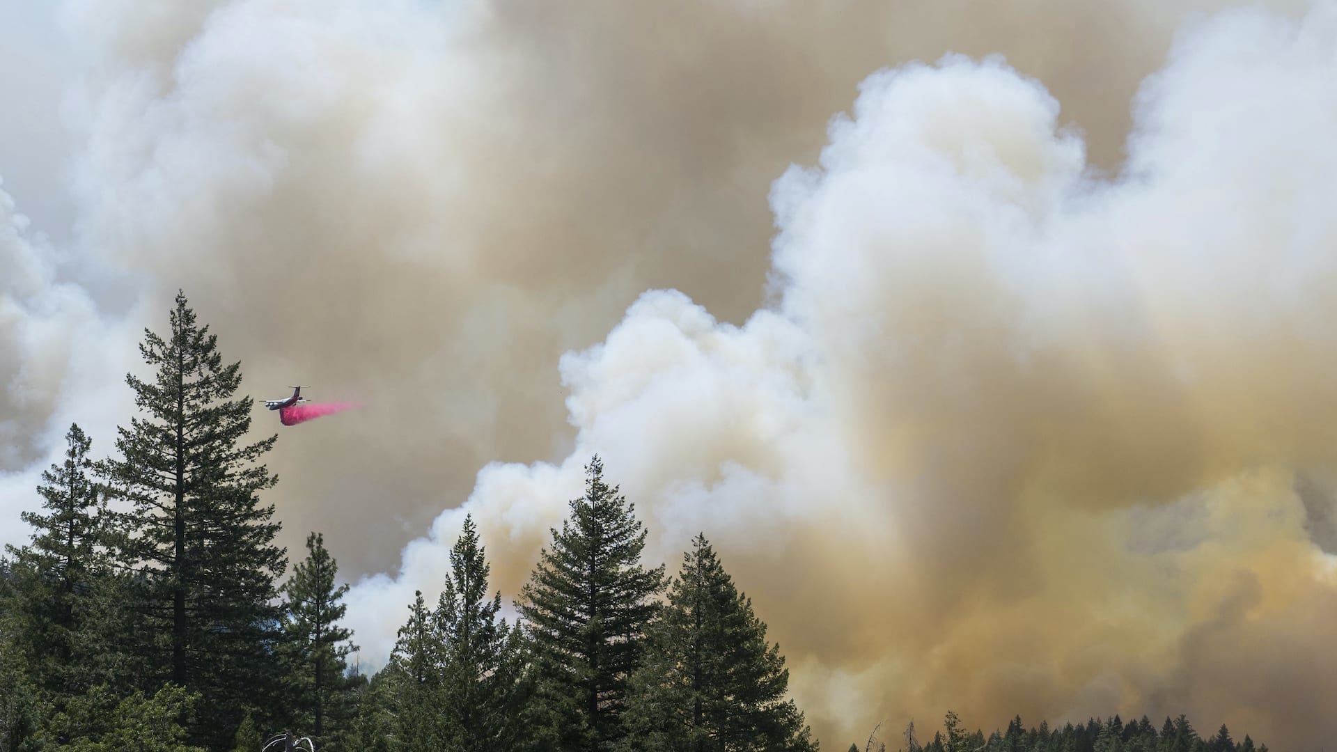 Wildfire Smoke Poses Greater Dementia Risk Than Other Air Pollution, Study Finds