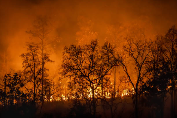 Brazil might be experiencing a repeat of the 2019 “Day of Fire,”