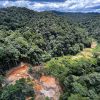 Brazil's Amazon Sees 46% Drop in Deforestation, But Challenges Persist Amid Increased Clearing in Cerrado