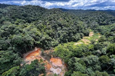 Brazil's Amazon Sees 46% Drop in Deforestation, But Challenges Persist Amid Increased Clearing in Cerrado