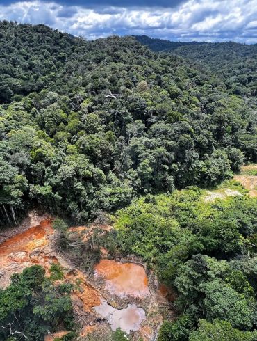 Brazil's Amazon Sees 46% Drop in Deforestation, But Challenges Persist Amid Increased Clearing in Cerrado