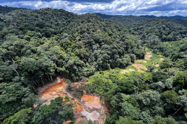 Brazil's Amazon Sees 46% Drop in Deforestation, But Challenges Persist Amid Increased Clearing in Cerrado