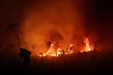 Climate Change Intensified June Wildfire in Brazil's Pantanal, Increasing Severity by 40%