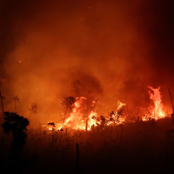 Climate Change Intensified June Wildfire in Brazil's Pantanal, Increasing Severity by 40%