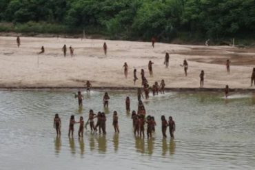 Conflict Erupts as Mashco Piro Tribe Defends Amazon Territory Against Loggers