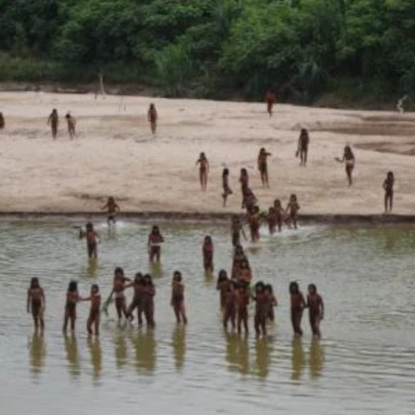 Conflict Erupts as Mashco Piro Tribe Defends Amazon Territory Against Loggers