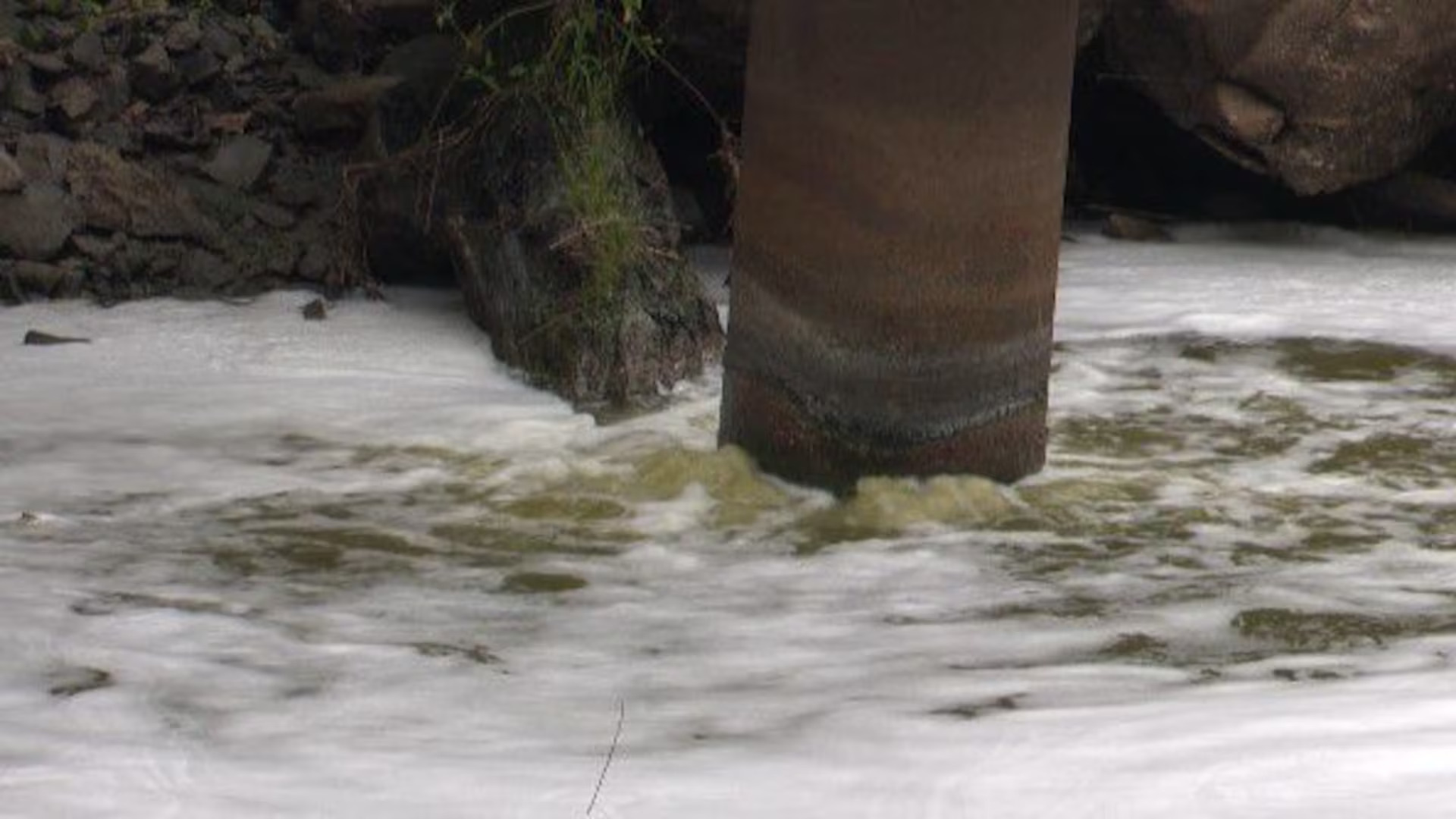 Dairy Plant Denies Responsibility for Deer River Pollution, Community Demands Action and Answers from Authorities