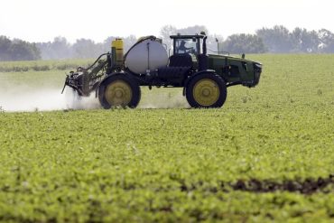 EPA Acts to Ban DCPA Pesticide, Citing Severe Risks to Unborn Babies and Insufficient Safety Data