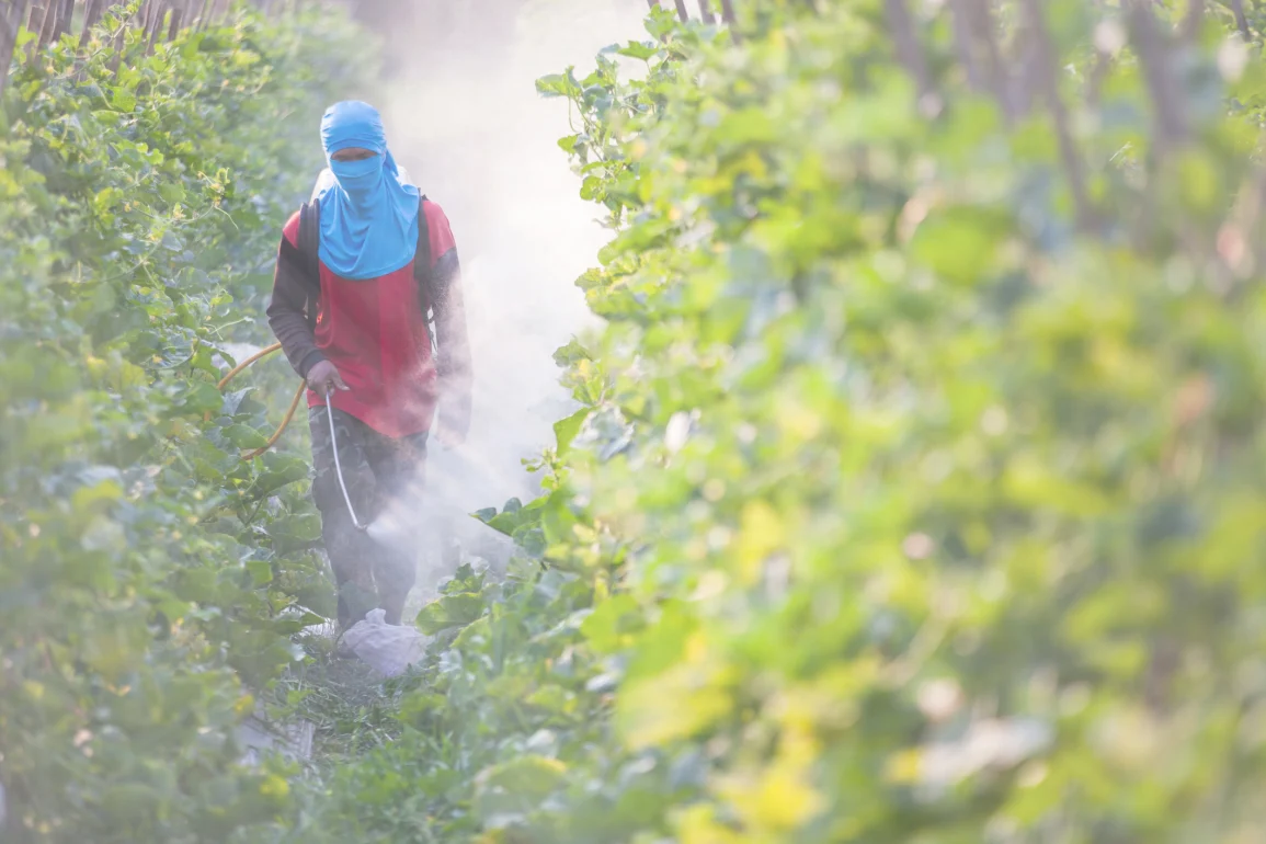 EPA Suspends Pesticide DCPA After Link to Fetal Development Issues