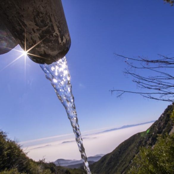 Federal and State Authorities Back California’s Order to Halt BlueTriton’s Water Extraction from San Bernardino Mountains