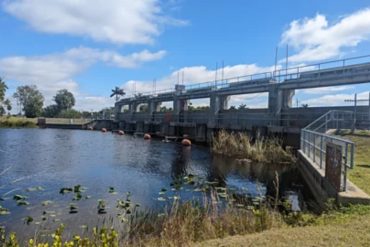 Florida Begins Construction of Massive Reservoir to Restore Everglades and Protect Water Supply