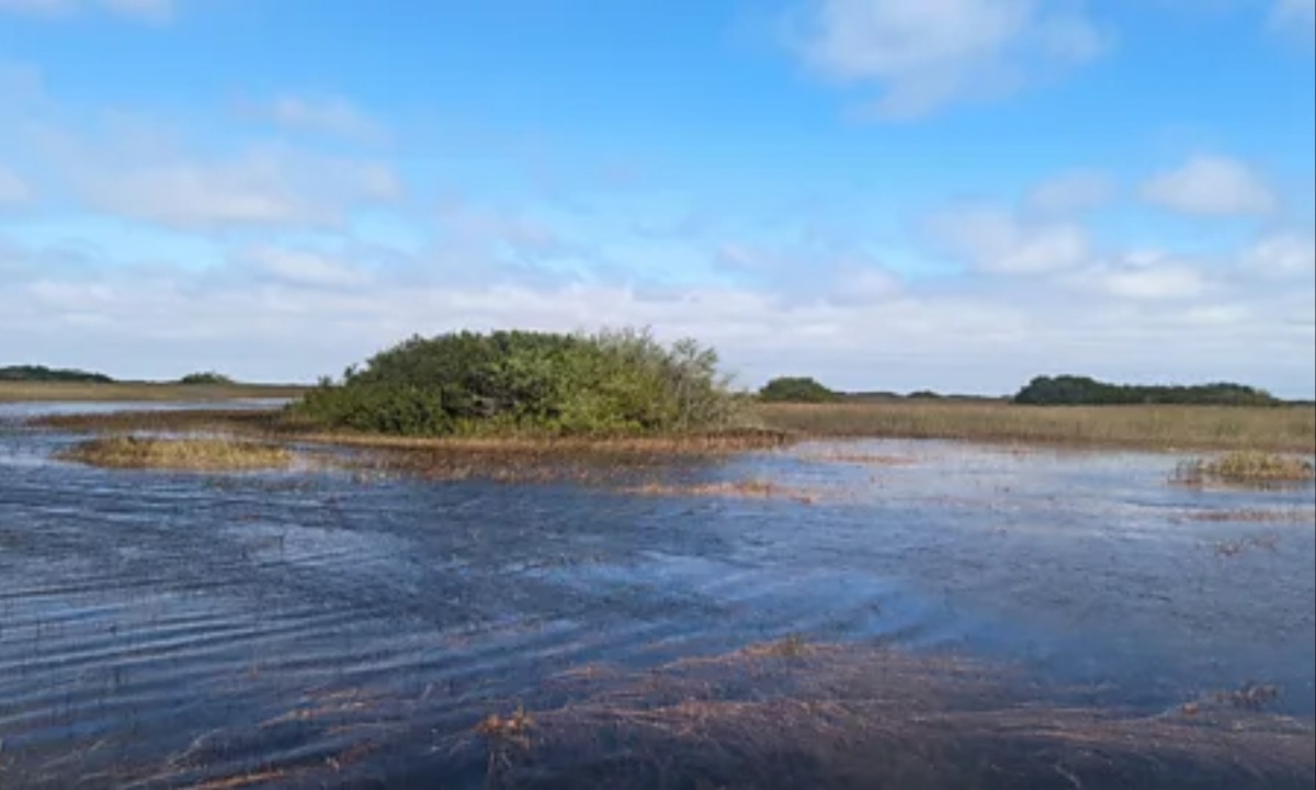 Florida Begins Construction of Massive Reservoir to Restore Everglades and Protect Water Supply