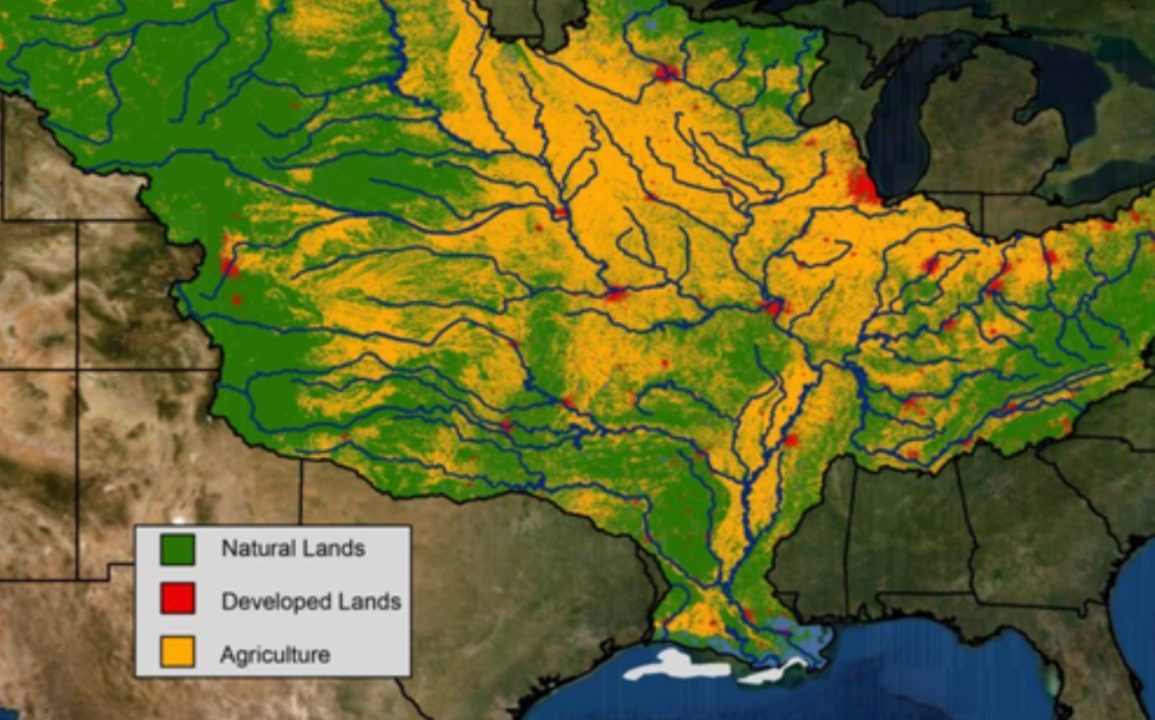 Gulf of Mexico Dead Zone Expands to 6,705 Square Miles, One of Largest in 38 Years