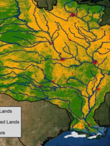 Gulf of Mexico Dead Zone Expands to 6,705 Square Miles, One of Largest in 38 Years