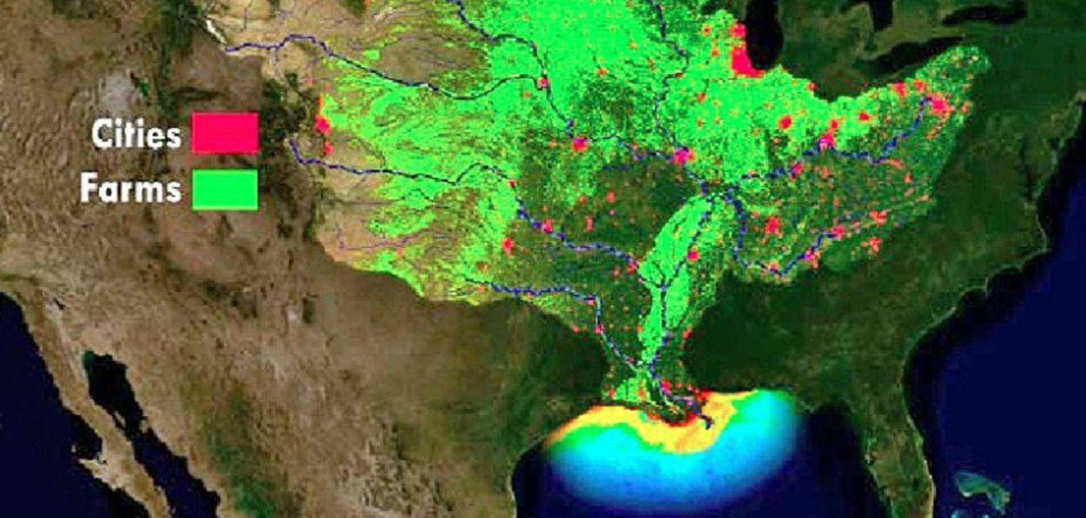 Gulf of Mexico Dead Zone Expands to 6,705 Square Miles, One of Largest in 38 Years