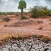 KAUST Develops Self-Switching Water-Harvesting System for Arid Areas