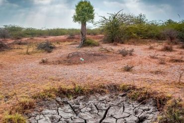 KAUST Develops Self-Switching Water-Harvesting System for Arid Areas