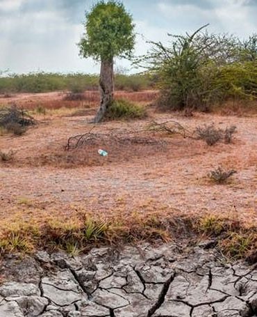 KAUST Develops Self-Switching Water-Harvesting System for Arid Areas