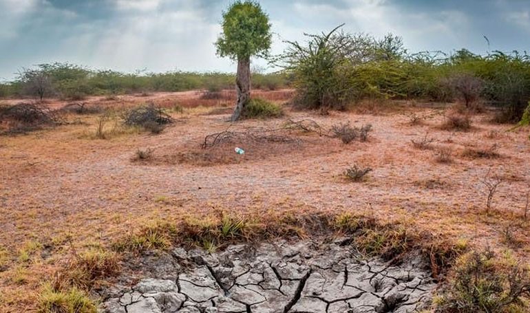 KAUST Develops Self-Switching Water-Harvesting System for Arid Areas