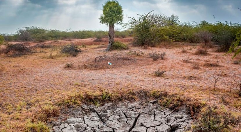 KAUST Develops Self-Switching Water-Harvesting System for Arid Areas