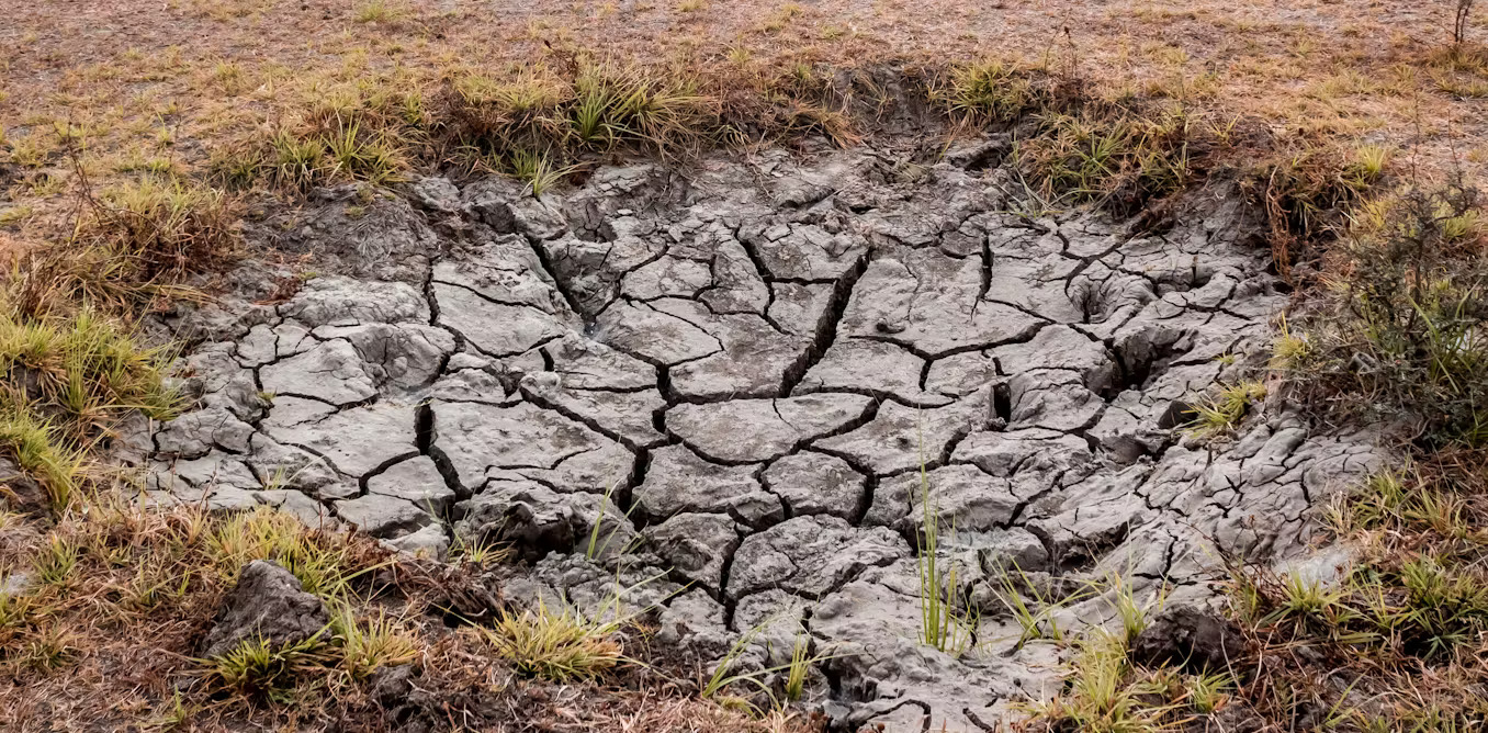 KAUST Develops Self-Switching Water-Harvesting System for Arid Areas