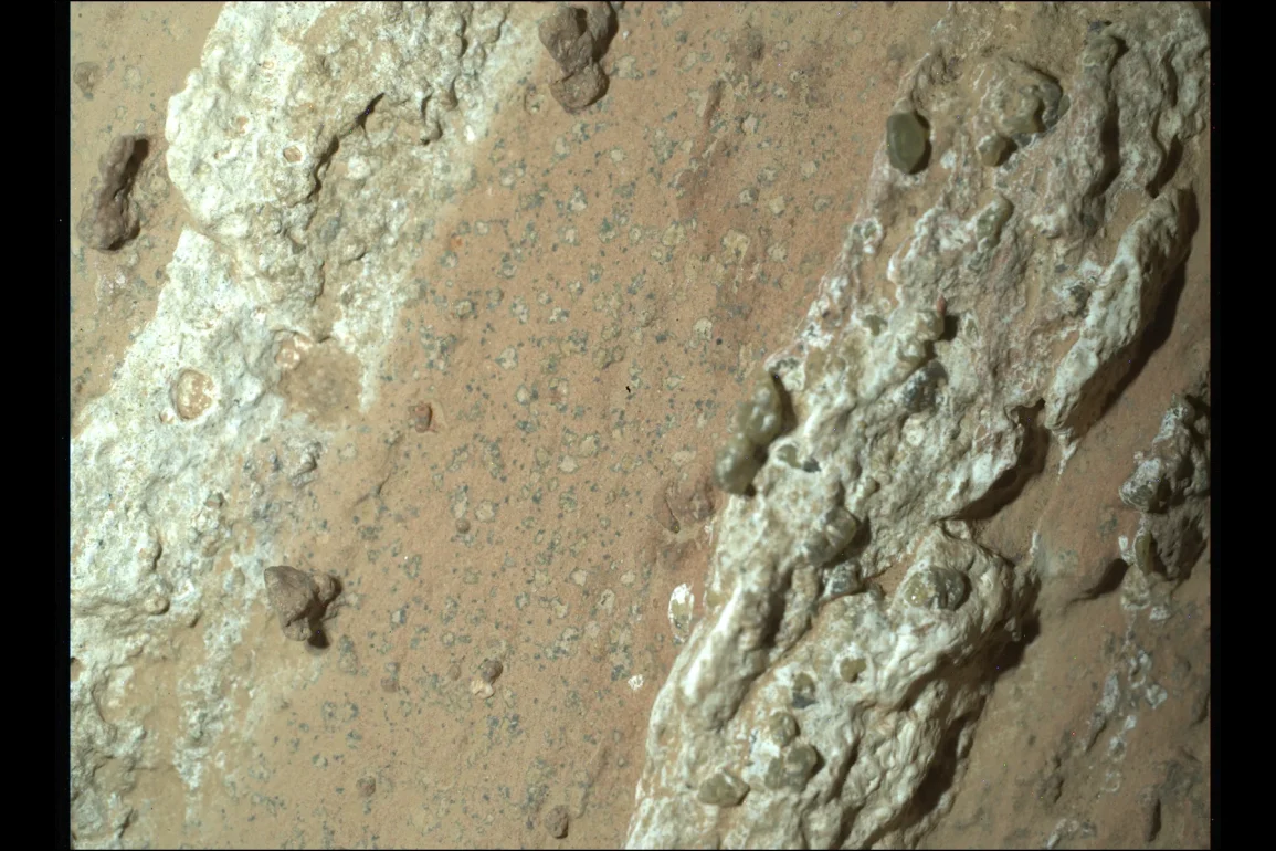 NASA's Perseverance Rover Finds Mars Rock with Potential Signs of Ancient Microbial Life