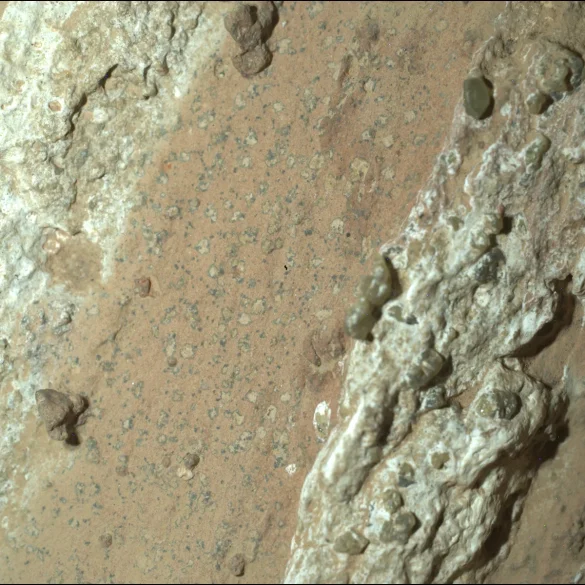 NASA's Perseverance Rover Finds Mars Rock with Potential Signs of Ancient Microbial Life