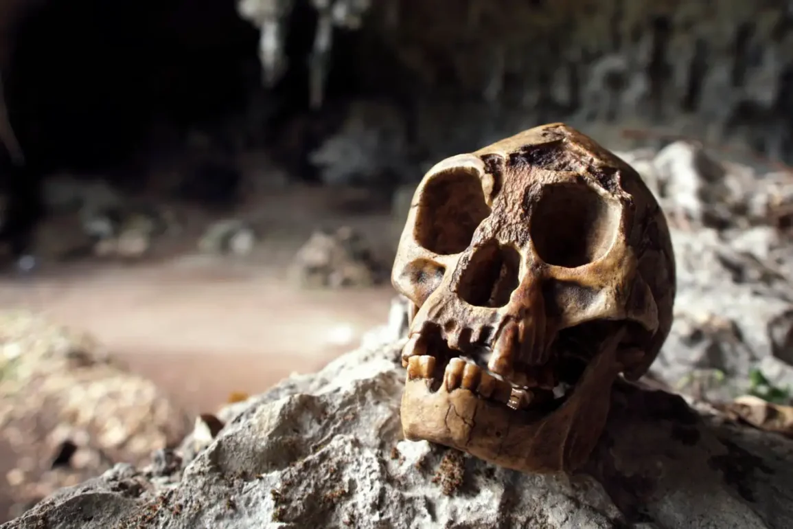 New Insights into Homo floresiensis and Ongoing Space and Archaeological Discoveries