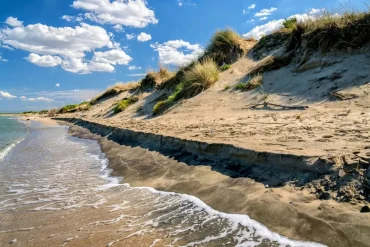 Scientists Test Electrical Method to Strengthen Sand and Combat Coastal Erosion