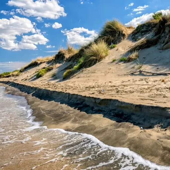 Scientists Test Electrical Method to Strengthen Sand and Combat Coastal Erosion