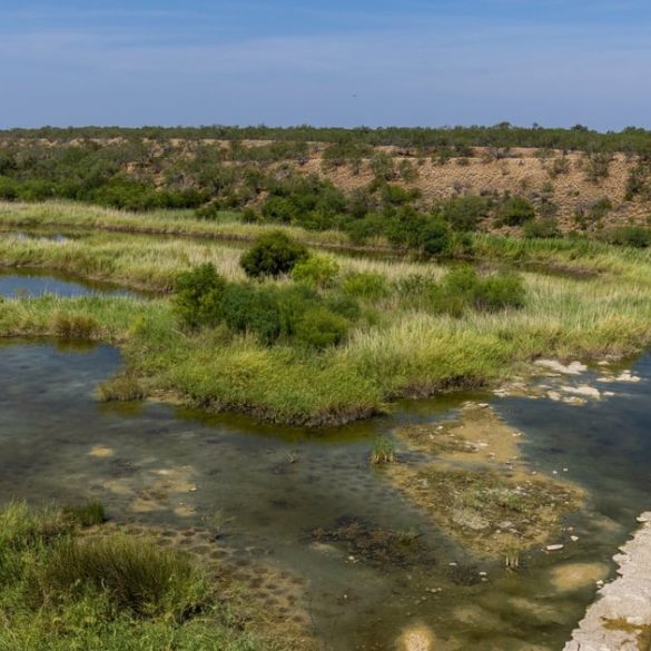 South Texas Faces Severe Water Shortage Amid Mexican Water Obligations Failure and Rising Demand