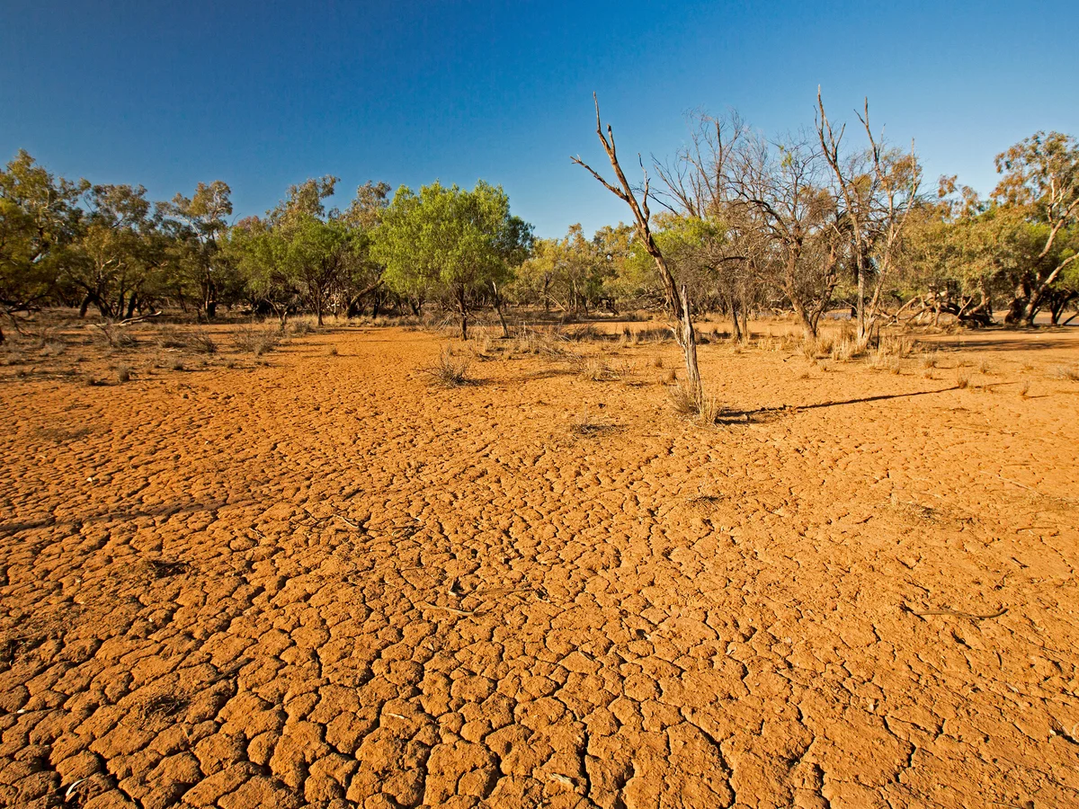 Southeast Australia sees paradoxical vegetation growth despite extreme heat and drought, driven by rising CO2 levels