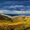 Southeast Australia sees paradoxical vegetation growth despite extreme heat and drought, driven by rising CO2 levels