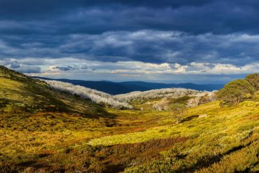 Southeast Australia sees paradoxical vegetation growth despite extreme heat and drought, driven by rising CO2 levels