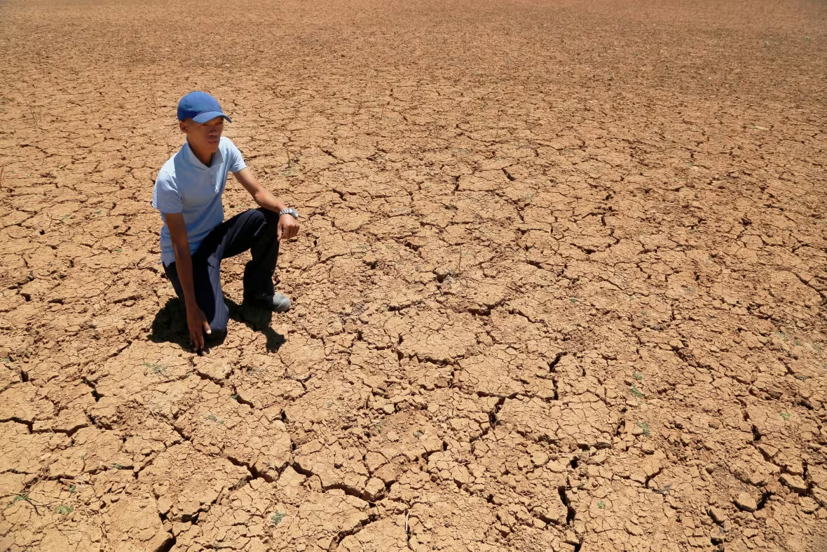 Southern Africa Faces Devastating Drought as 70 Million Struggle for Food and Water